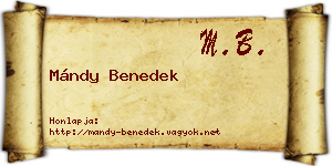 Mándy Benedek névjegykártya